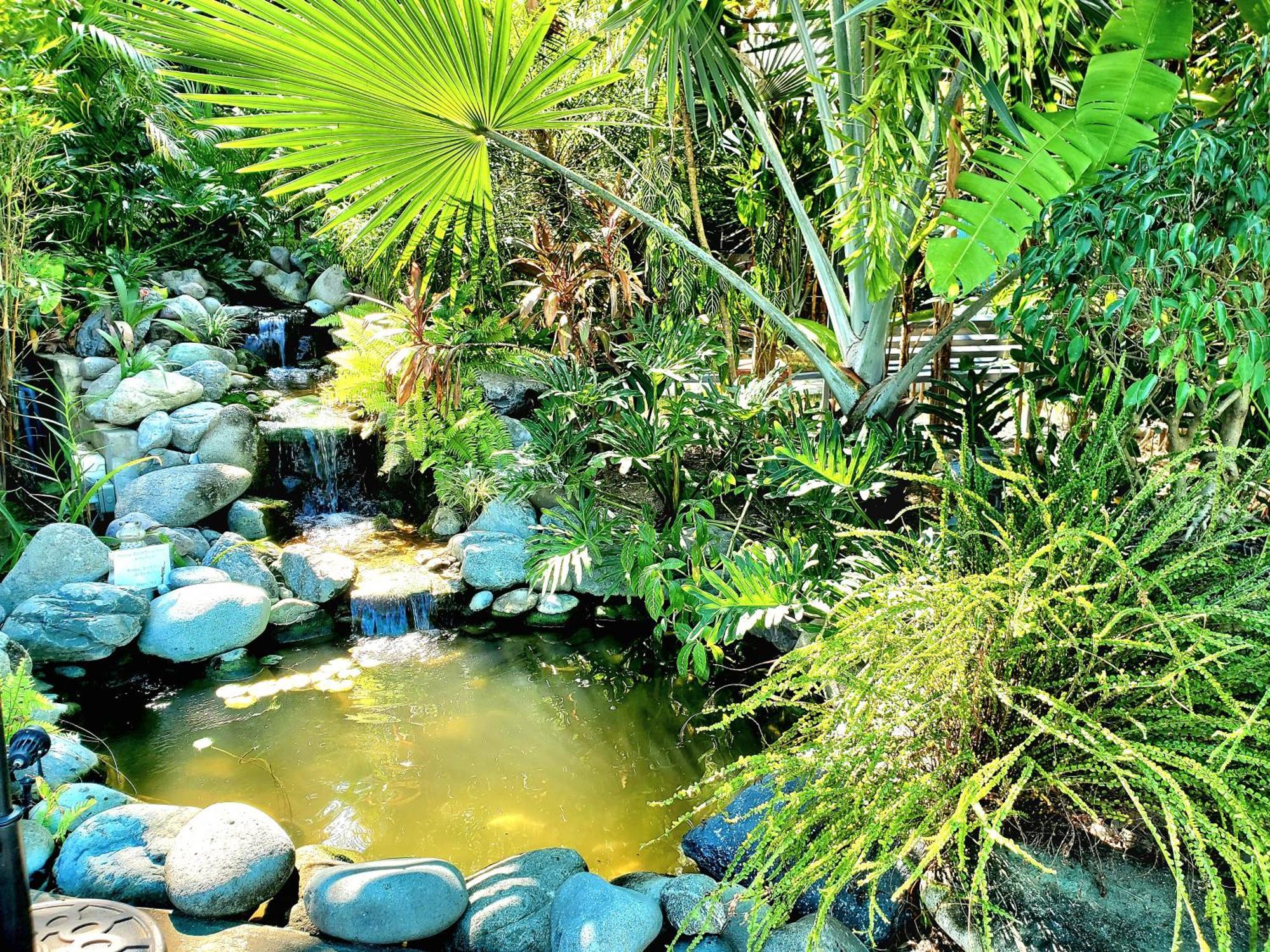 Hidden Palms Inn Сан-Хуан Экстерьер фото